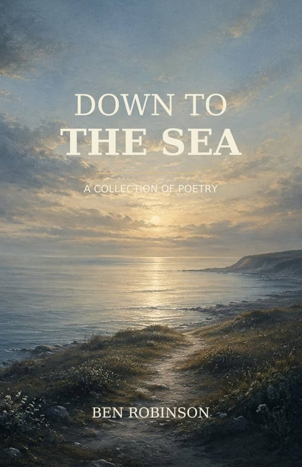 Down to the Sea book cover