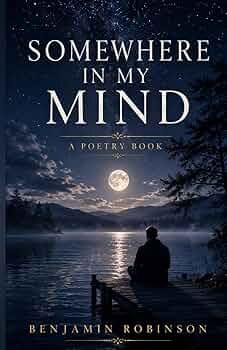 Book Cover 17
