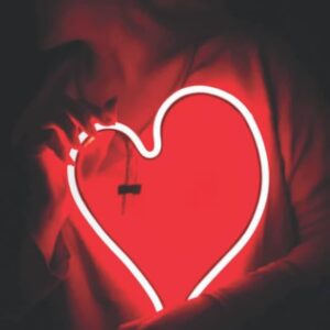 How the heart is poetry book paperback