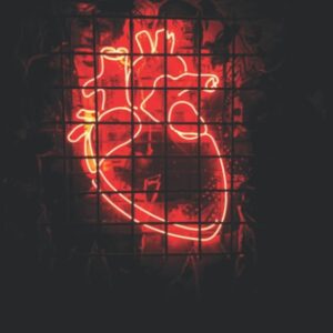 A steady heart poetry book paperback