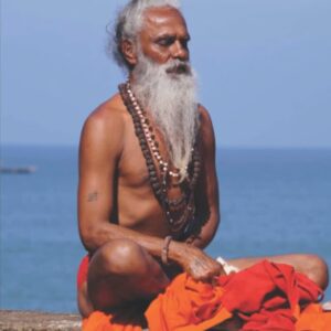 At the silence poetry book paperback